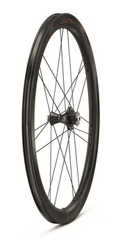BoraUltra-WTO-45-DB-2WF-C23-antTRE4-2024