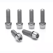 Ritchey WCS 4 - Axis C220 and Toyon Stem Titanium Bolt Set - 6 Pack 
