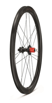 BoraUltra-WTO-45-DB-2WF-C23-postTRE4-2024