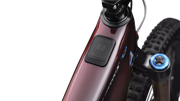S-Works Turbo Levo 4